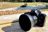 Canon EF50mm F1.8 II 用レンズフード ES-62 は、着脱にコツがいる。