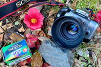 Canon EOS Kiss 7 一眼レフフィルムカメラと EF50mm F1.8 II 単焦点レンズで撮影した写真。